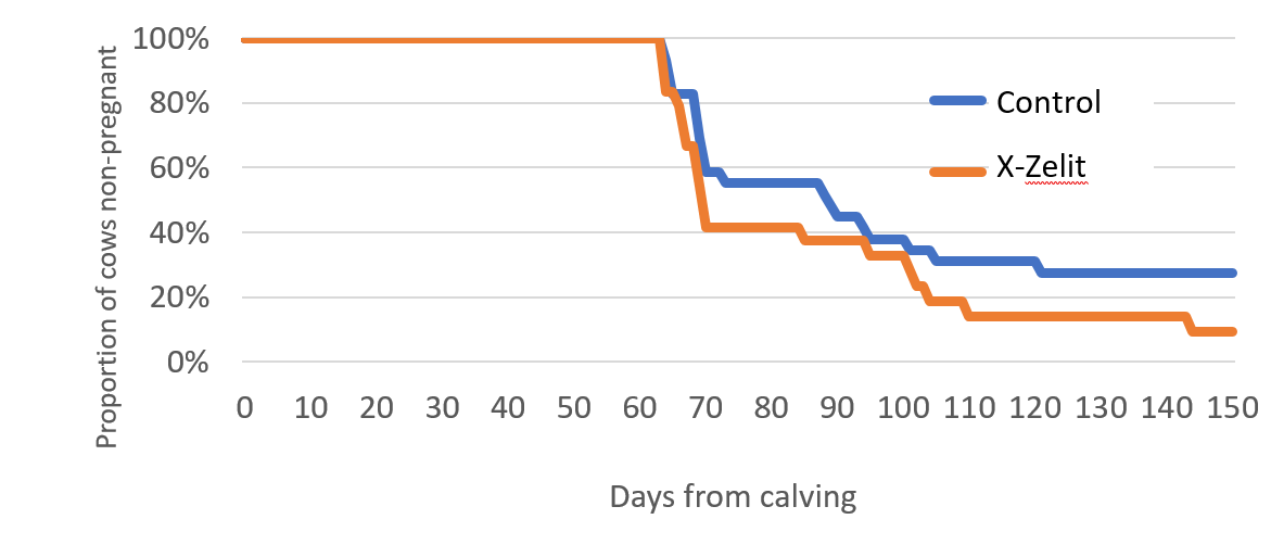 days from calving